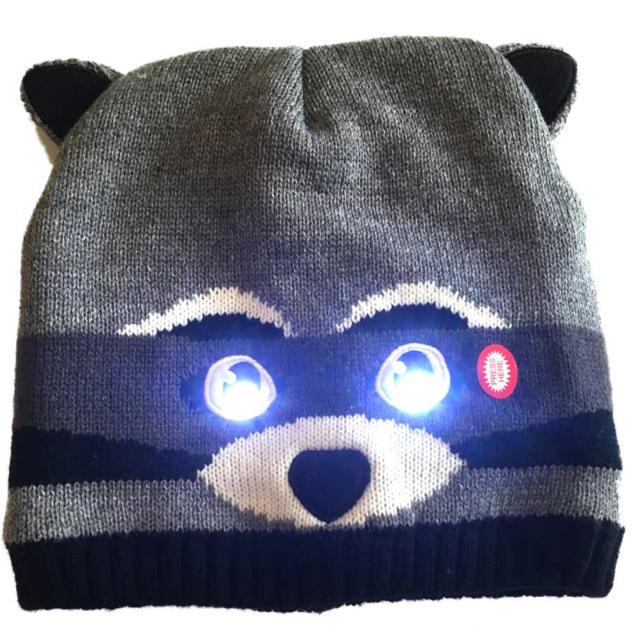 Rusty The Raccoon - brighteyeshatsworcester