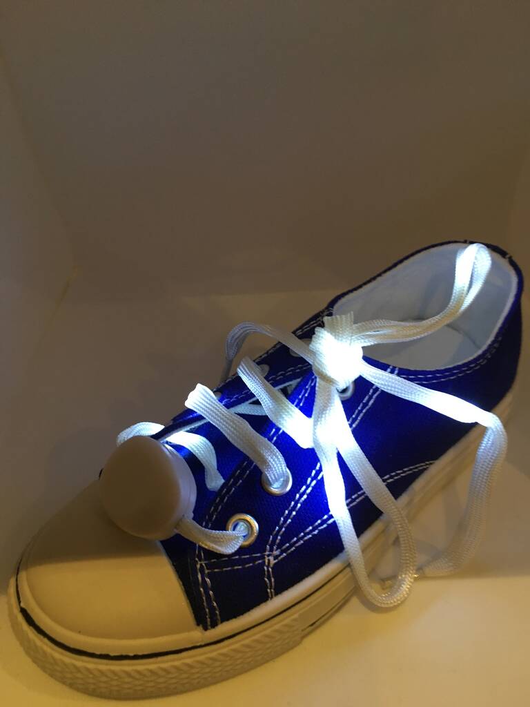Light Up LED Shoe Laces