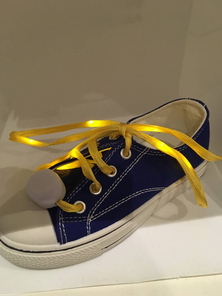 Light Up LED Shoe Laces